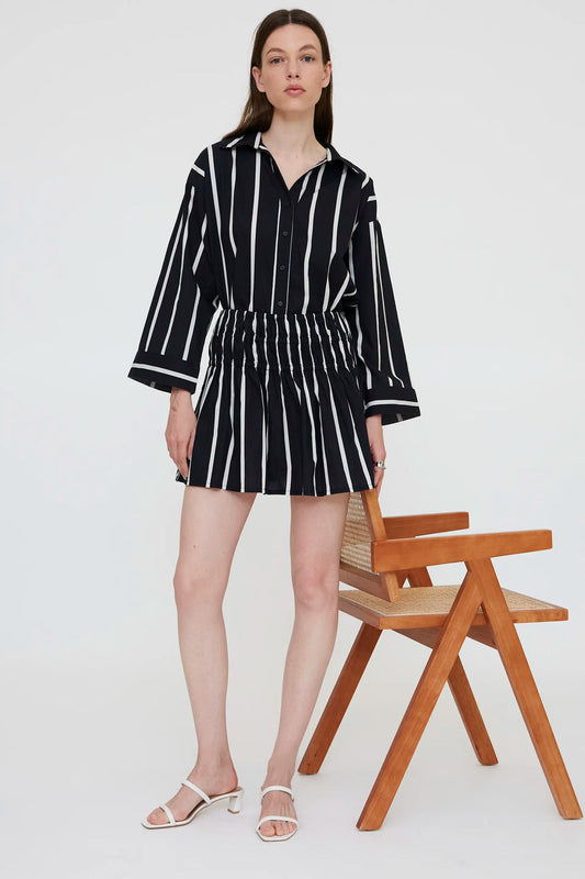 GONNA RIGHE WILD PONY