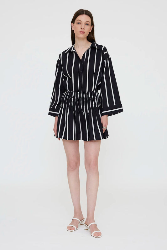 GONNA RIGHE WILD PONY